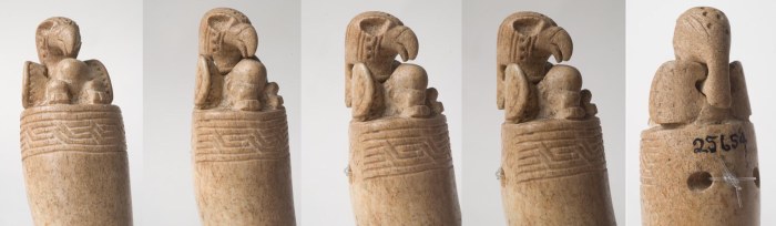 ave en colmillo 2 copia