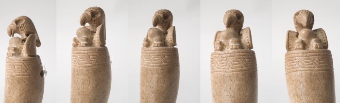 ave en colmillo copia