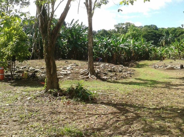 Un tesoro de la arquitectura tropical precolombina en Osa: el sitio Grijalba al&nbsp;descubierto
