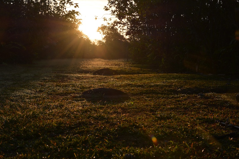 Finca 6 luz y sombra