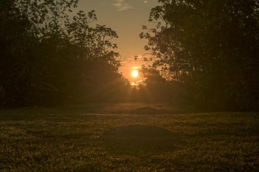 Alineamiento sol esferas Finca 6 2