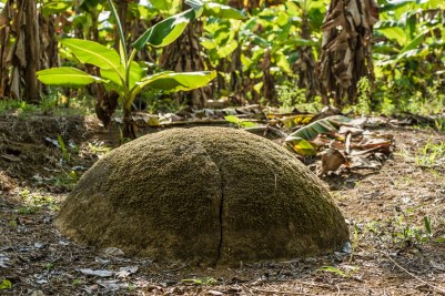 Esfera Grijalba  copia