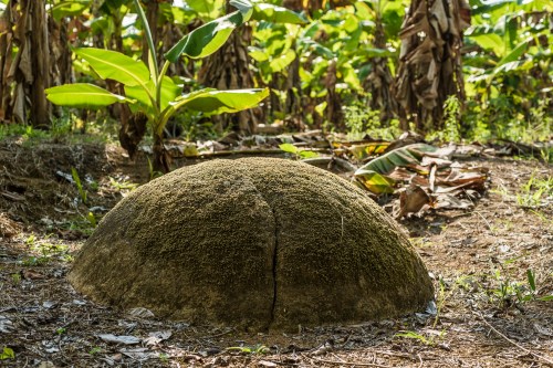 Esfera Grijalba  copia