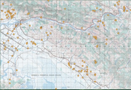 hoja Changuena copia