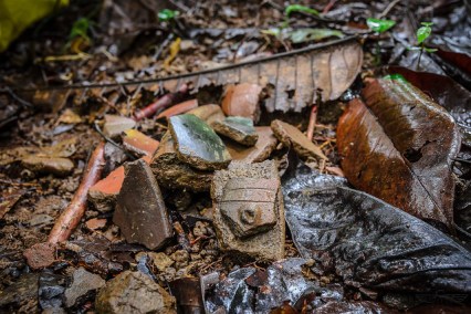 36403474643_c32cb378b9_z