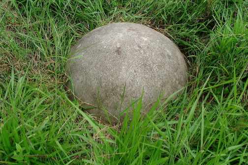Esfera Pejibaye in situ