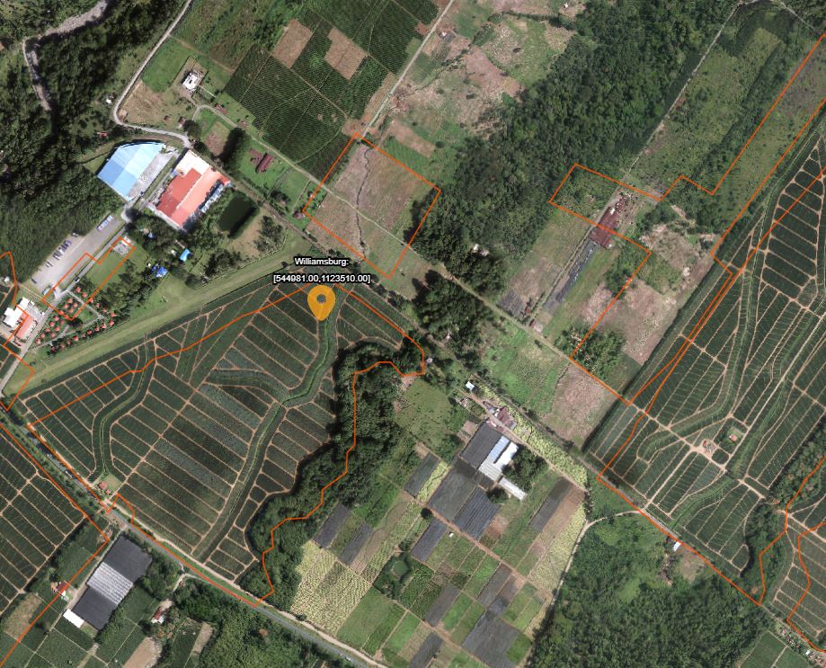 Como desaparecer un sitio arqueológico y que no pase nada: la triste historia del sitio&nbsp;Williamsburg